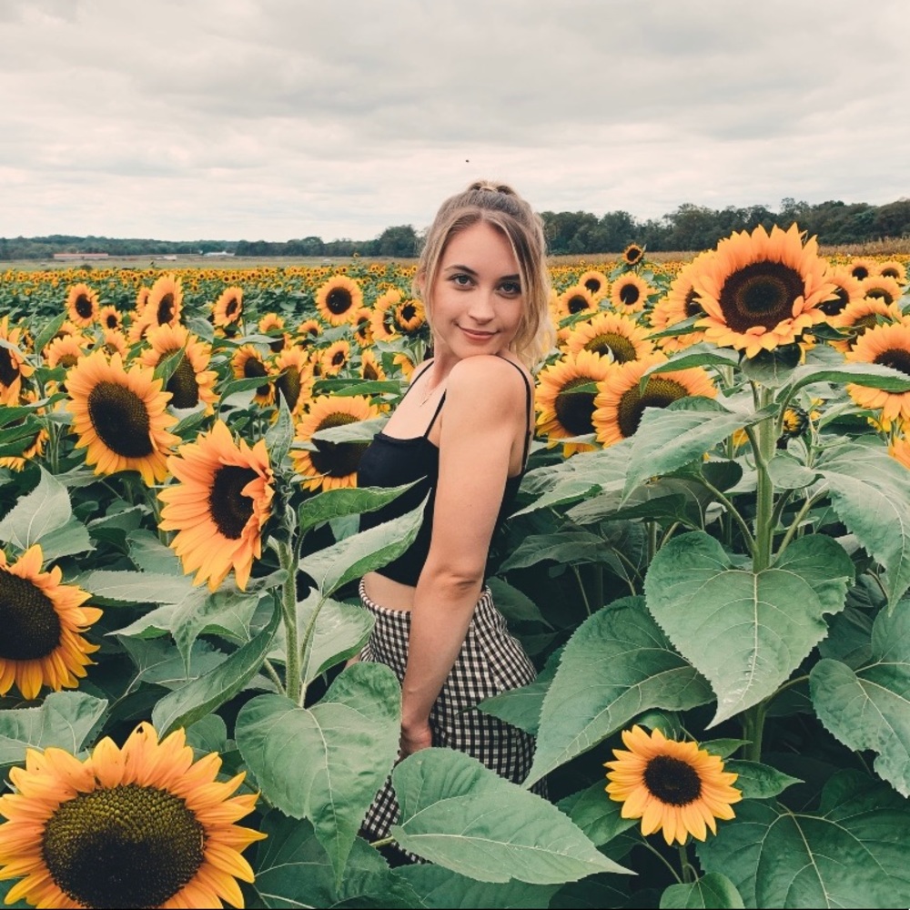 Meet your Posher, Hollin